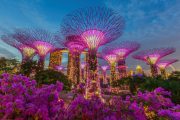 Соседние страны: Сингапур