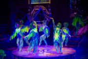 Aqua Circus Phuket Цирк на воде